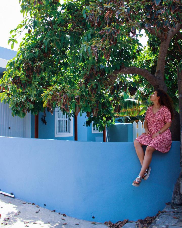 Rooftop Casa El Banco El Charco  Dış mekan fotoğraf